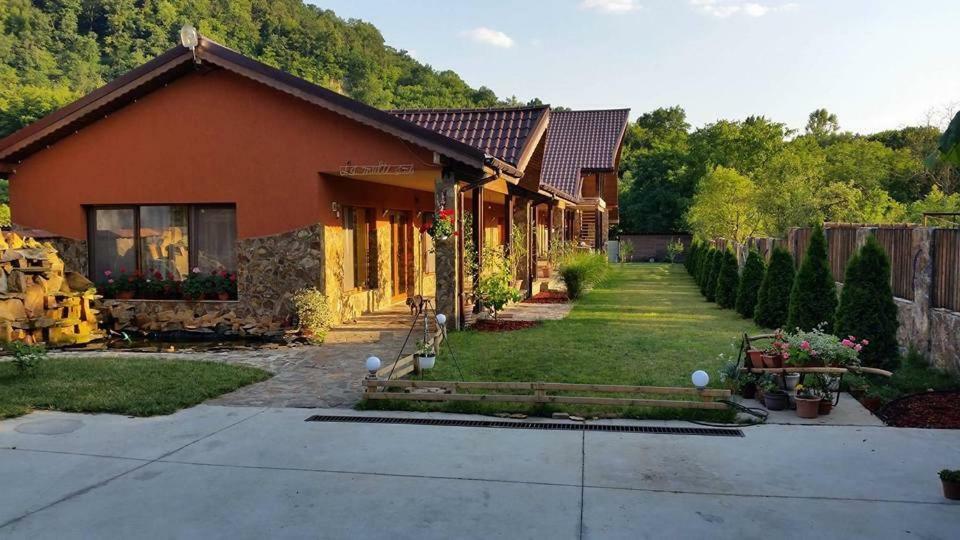 Pensiunea Raiul Muntilor Sebis Exterior photo