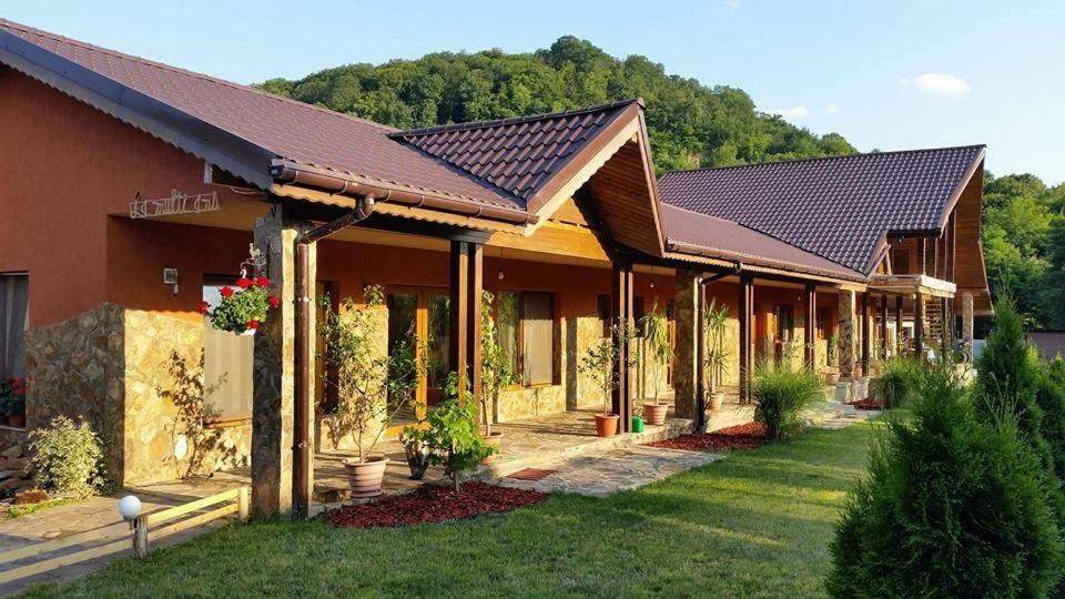 Pensiunea Raiul Muntilor Sebis Exterior photo