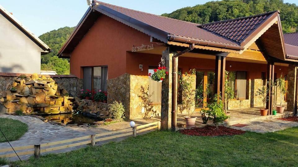 Pensiunea Raiul Muntilor Sebis Exterior photo